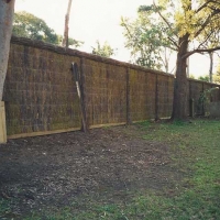 brushwood-fencing-and-tree