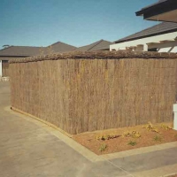 house-with-brushfence