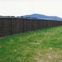 malleluca-fence-with-grass-length